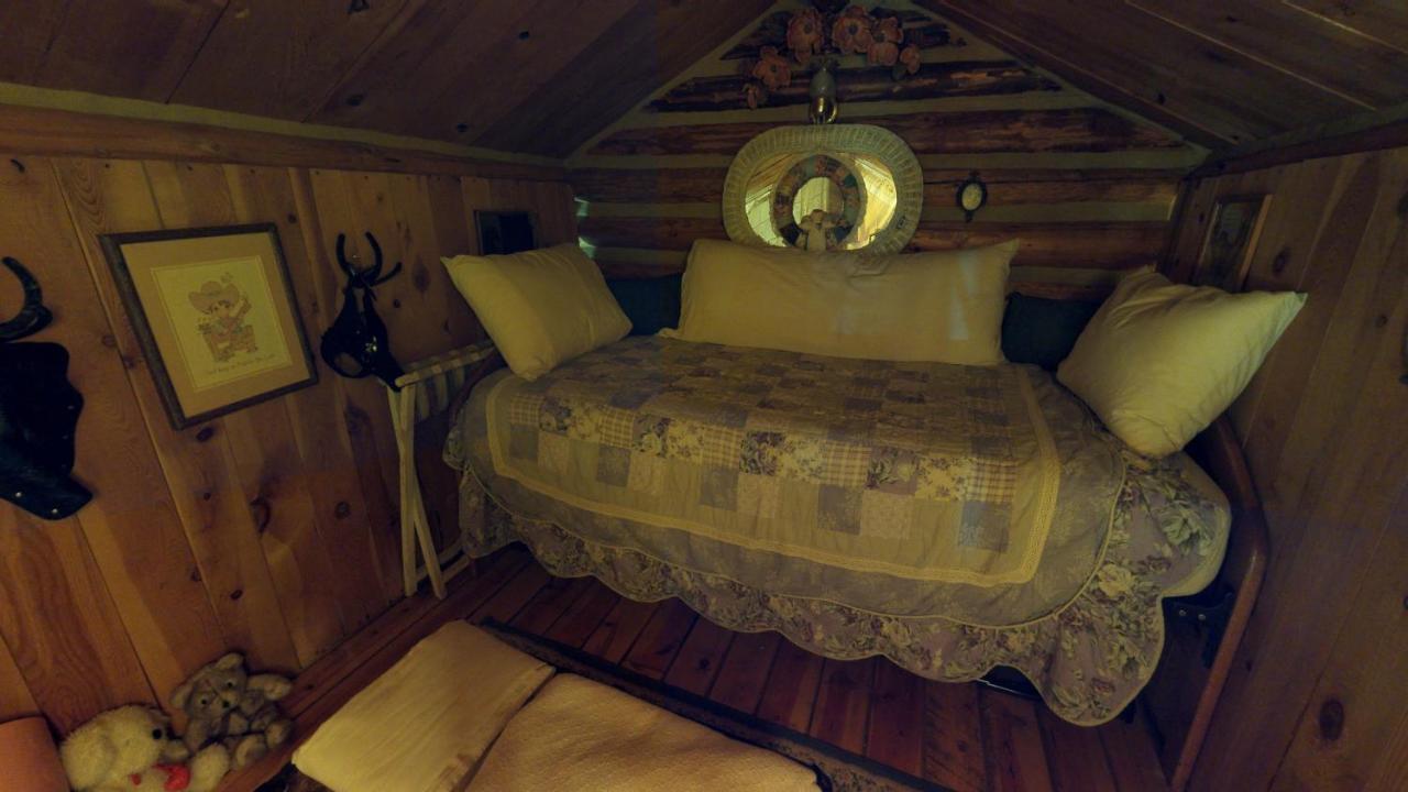 Cabin By The Creek With High Speed Wifi Red River Zewnętrze zdjęcie